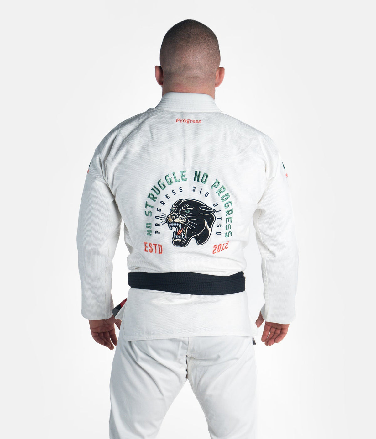 The Panther Gi